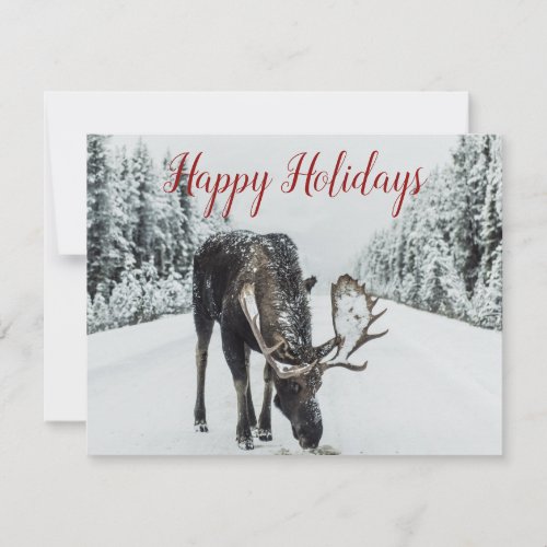 Moose In Winter Snow Christmas Holiday Card