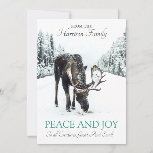 Moose In Winter Snow Christmas Peace Joy Holiday Card