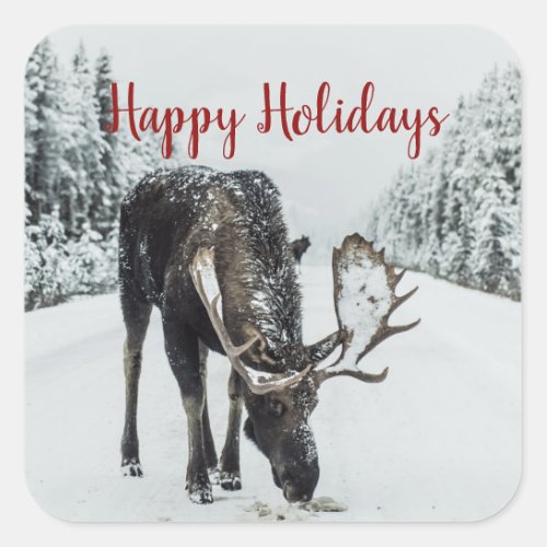 Moose In Winter Snow Christmas Square Sticker