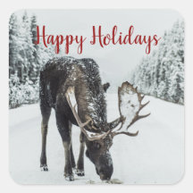 Moose In Winter Snow Christmas