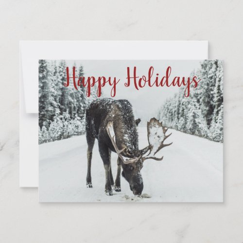 Moose In Winter Snow Holiday Card