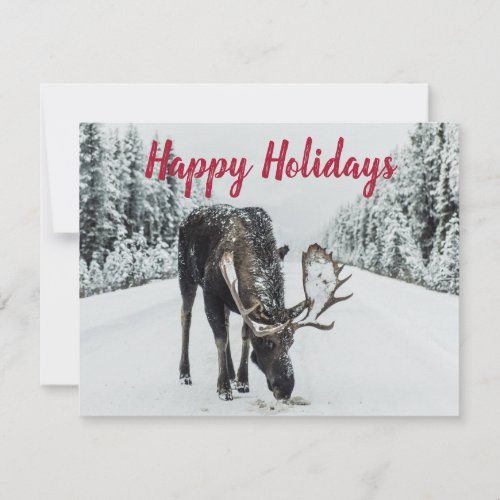 Moose In Winter Snow Wilderness Guide Holiday Card