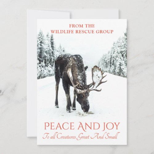 Moose In Winter Snow Wildlife Rescue Christmas Holiday Card
