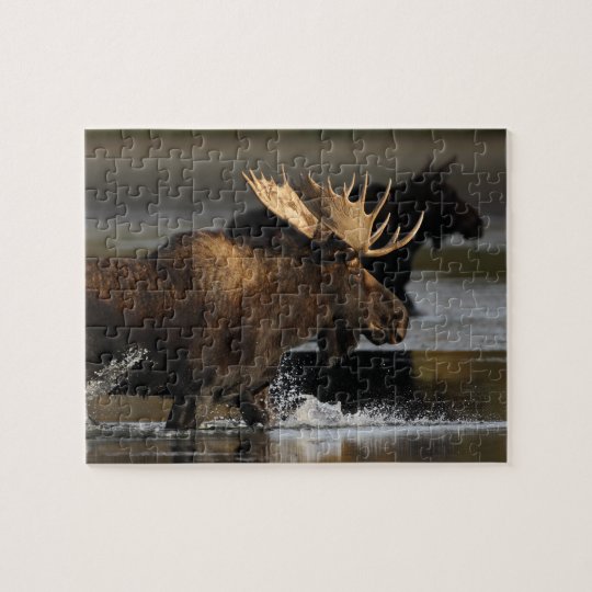 Moose Jigsaw Puzzle