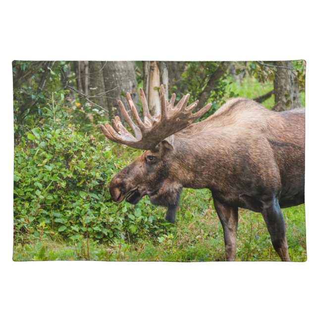 Moose | Kenai Peninsula, Alaska Cloth Placemat (Front)