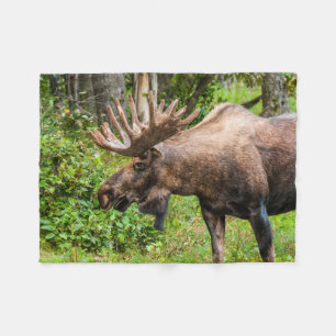 Moose   Kenai Peninsula, Alaska Fleece Blanket