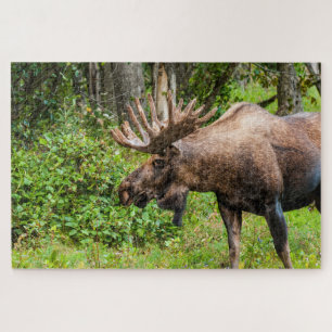 Moose Kenai Peninsula, Alaska Jigsaw Puzzle
