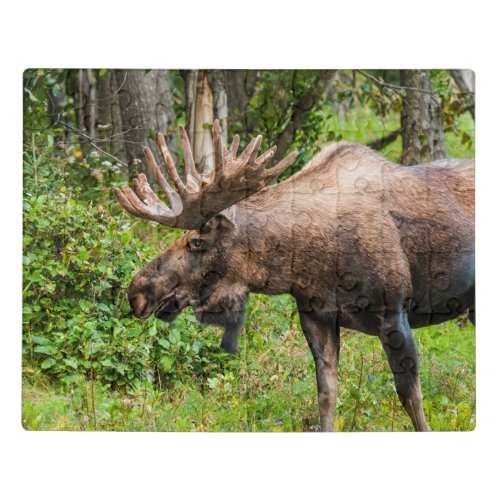 Moose  Kenai Peninsula Alaska Jigsaw Puzzle