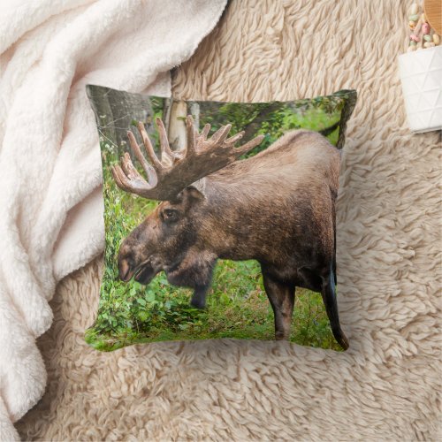 Moose  Kenai Peninsula Alaska Throw Pillow