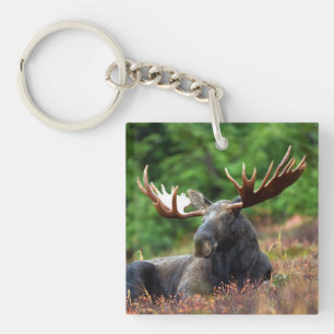 Moose Keychain