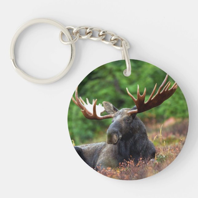 Moose Keychain (Front)