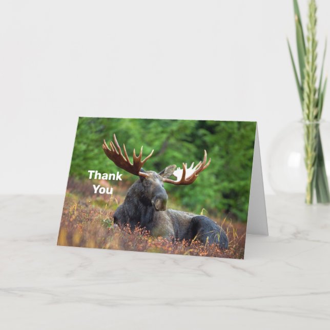 Moose Letterpress Thank You Card (Front)