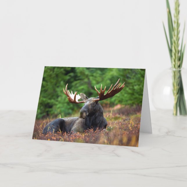 Moose Letterpress Thank You Card (Front)
