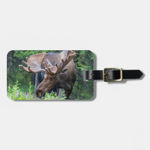 Moose luggage tag