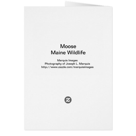 Moose - Maine Wildlife (Back)