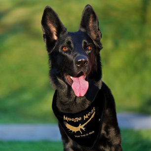 Moose Meat Rock Band Pet Bandana Collar