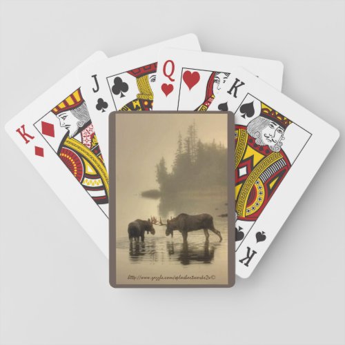  Moose Misty Morning Poker Cards
