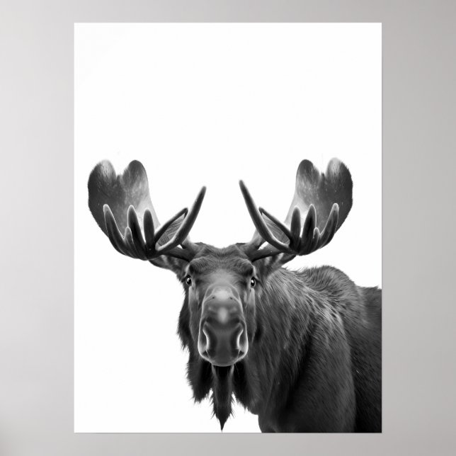 Moose Modern Portrait black white   Poster (Front)