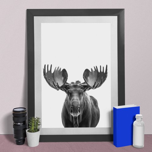 Moose Modern Portrait black white  Poster