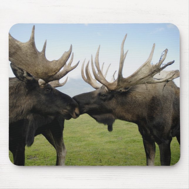 Moose Mouse Pad (Front)