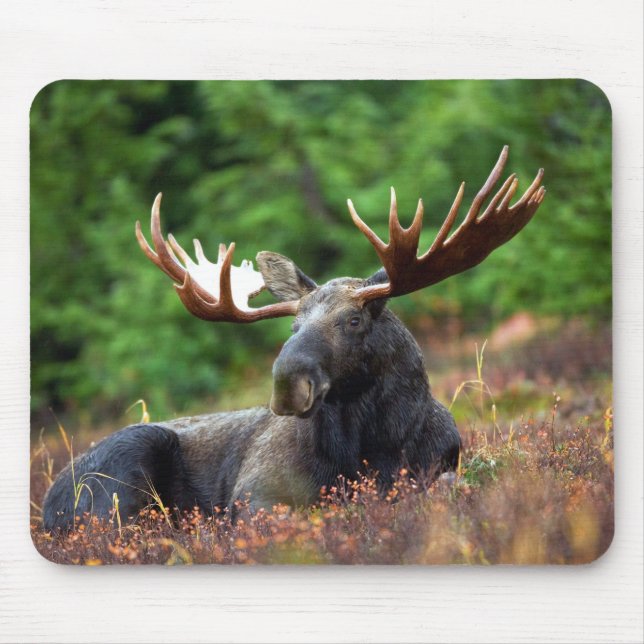 Moose Mouse Pad (Front)