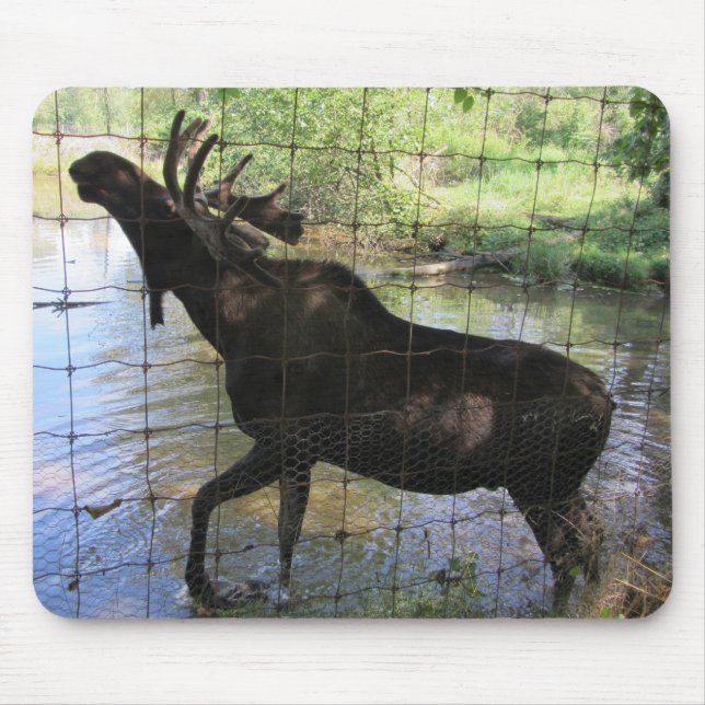 Moose Mouse Pad (Front)