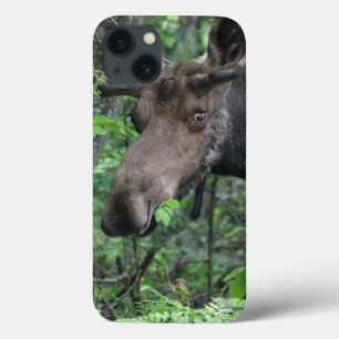 Moose Northern Animal Park Peace Hope Love Destiny iPhone 13 Case