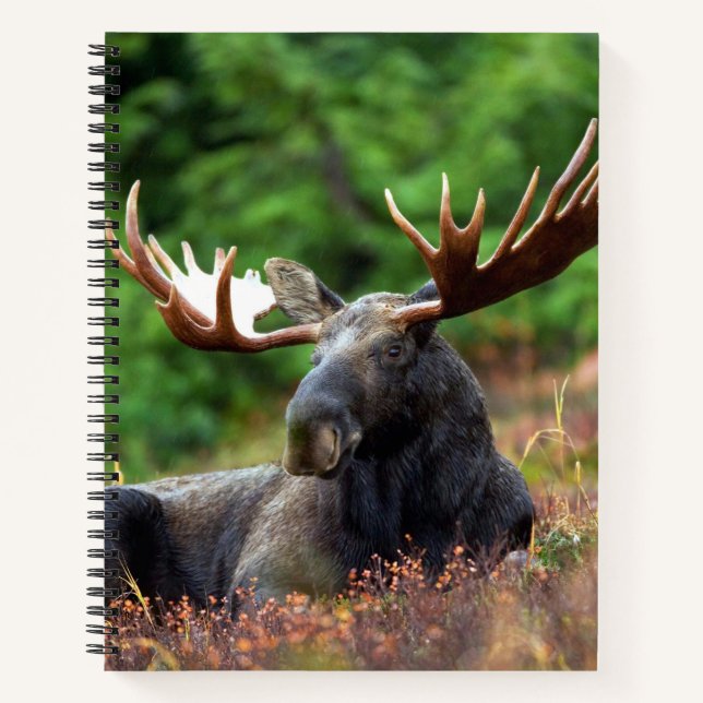 Moose Notebook (Front)