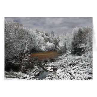 Moose on Snowy Oxbow Cards