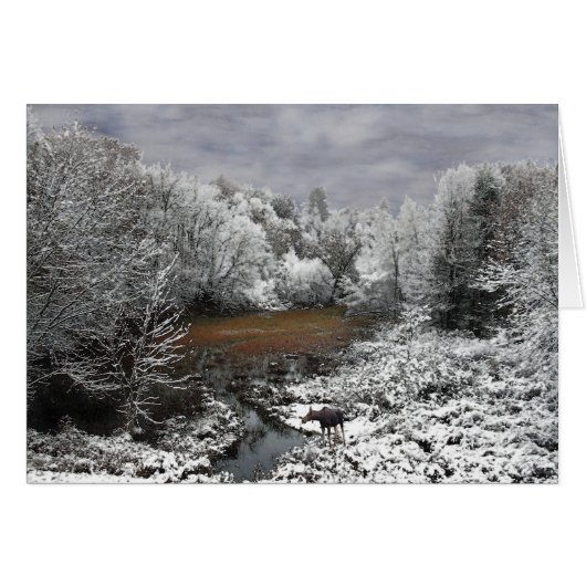 Moose on Snowy Oxbow Cards (Front Horizontal)