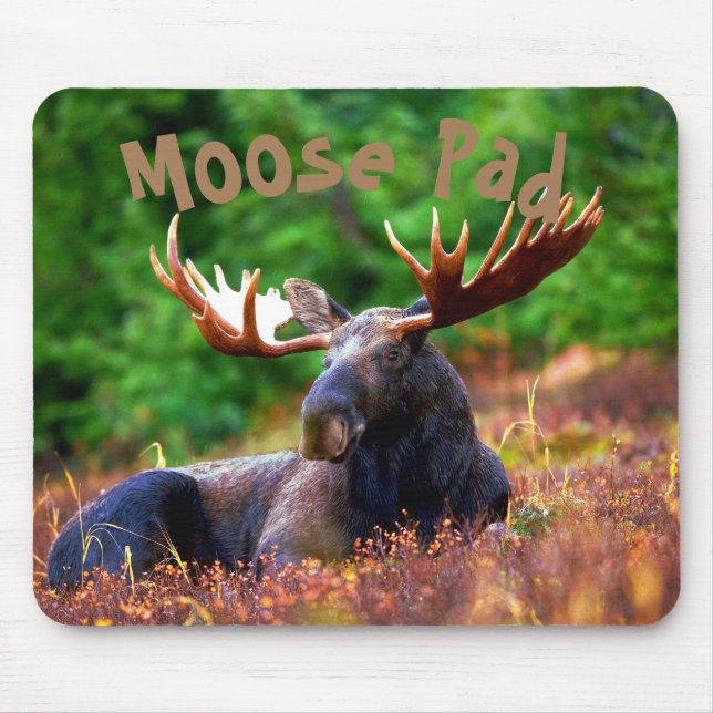 Moose Pad Mouse Pad (Front)