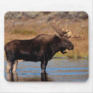 Moose Pad Mouse Pad