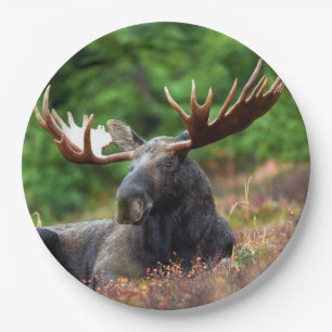 Moose Paper Plates
