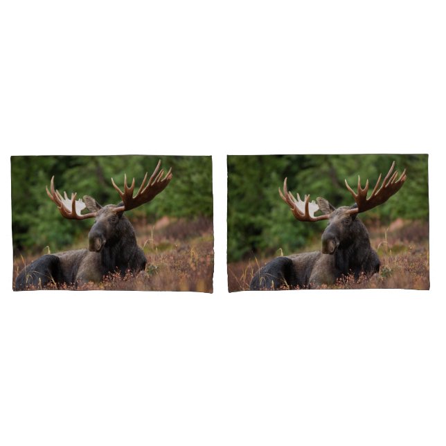 Moose Photo Woodland, Forest, Nature Pillowcase (Front-Set)