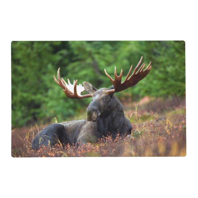 Moose Placemat (Front)
