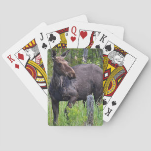 Moose Playing Card