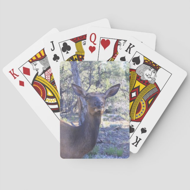 Moose Playing Cards (Back)