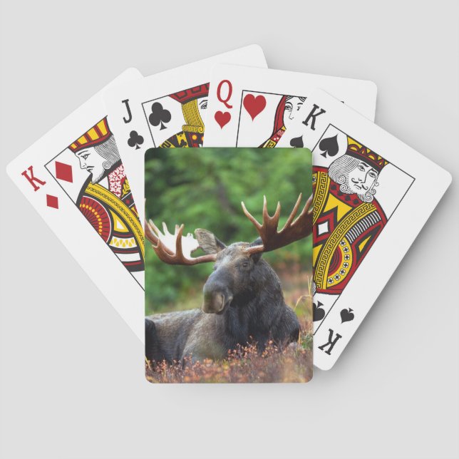 Moose Poker Cards (Back)
