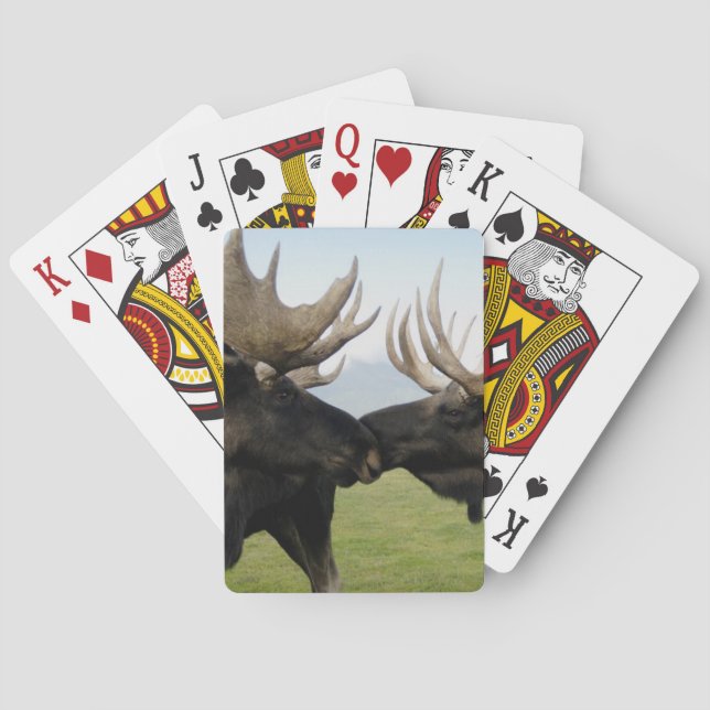 Moose Poker Cards (Back)