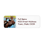 Moose Return Address Label