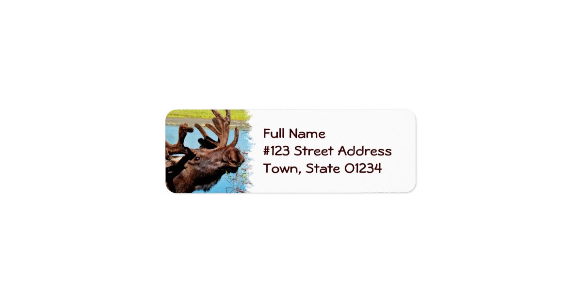 Moose return address labels