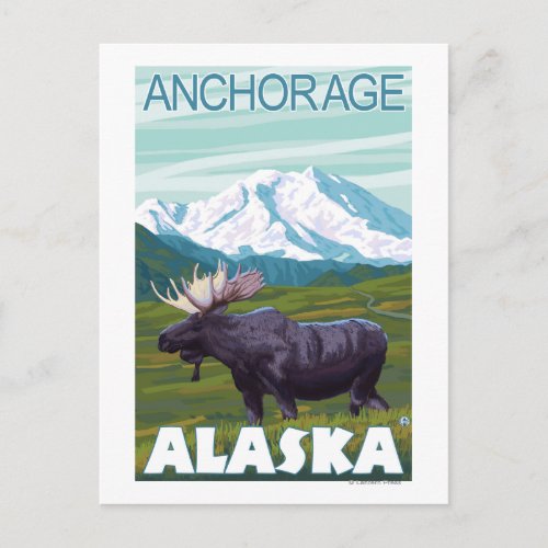 Moose Scene _ Anchorage Alaska Postcard