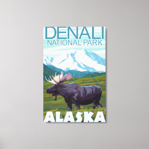 Moose Scene - Denali National Park, Alaska Canvas Print