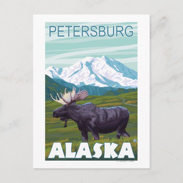 Moose Scene - Petersburg, Alaska Postcard (Front)