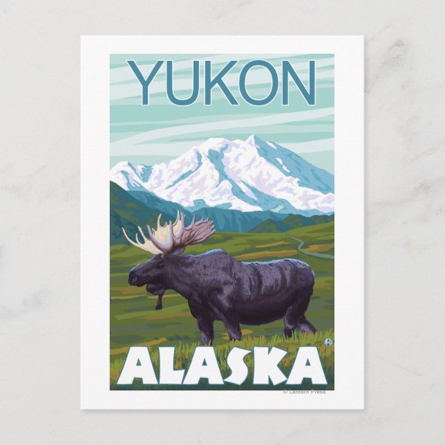 Moose Scene - Yukon, Alaska Postcard (Front)