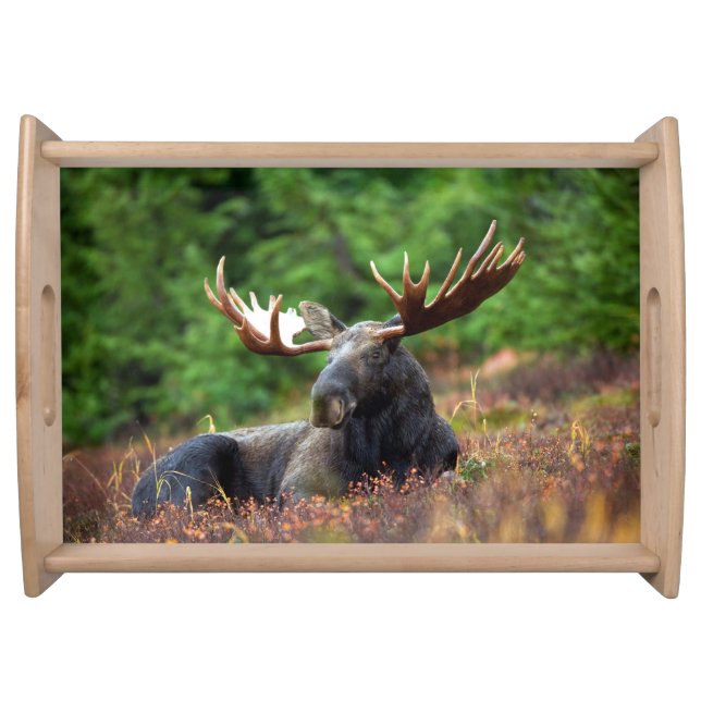 Moose Serving Tray (Front)