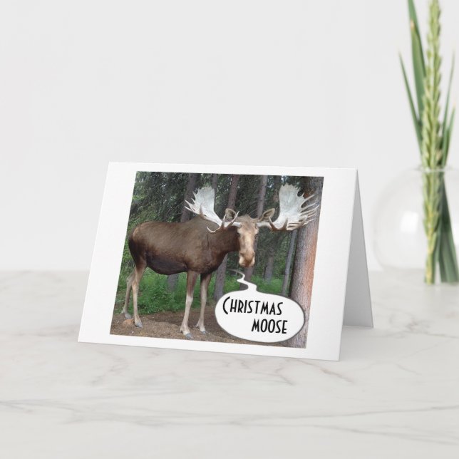 MOOSE SHINED HIS ANTLERS FOR YOUR CHRISTMAS HOLIDAY CARD (Front)