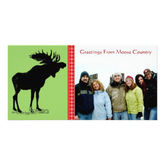 Moose Silhouette Card