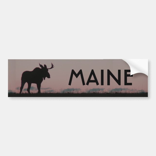 moose silouette bumper, MAINE Bumper Sticker (Front)