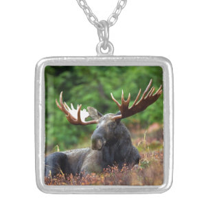 Moose Silver Plated Necklace